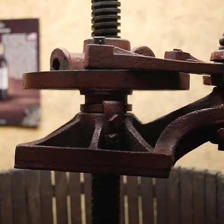 Otel Garni Chicha - Winery Skrbic 3*