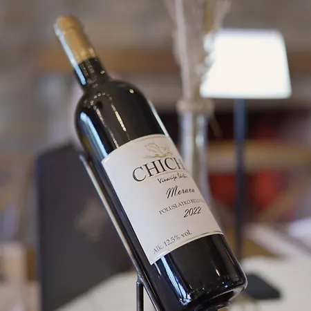 Garni Chicha - Winery Skrbic Otel 3*