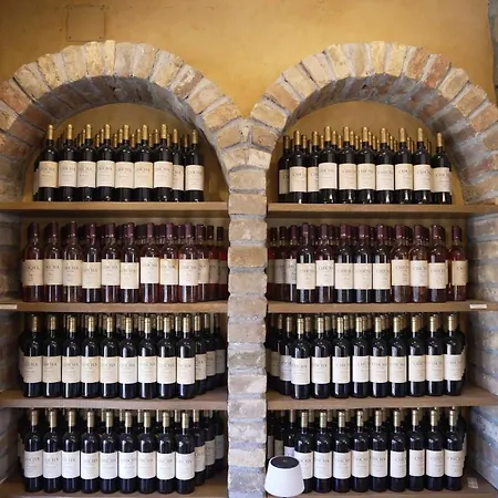 Hotel Garni Chicha - Winery Skrbic
