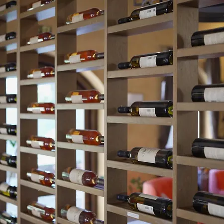 Garni Chicha - Winery Skrbic Otel Belgrad