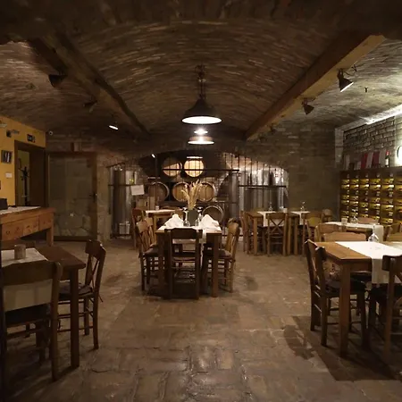 Hotel Garni Chicha - Winery Skrbic 3*