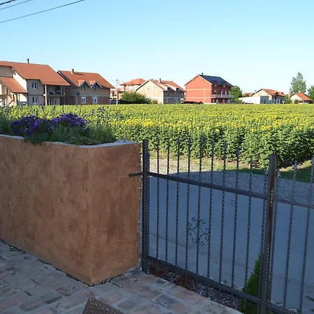 Otel Garni Chicha - Winery Skrbic Belgrad