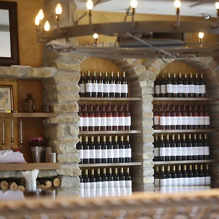 Garni Chicha - Winery Skrbic Otel 3*